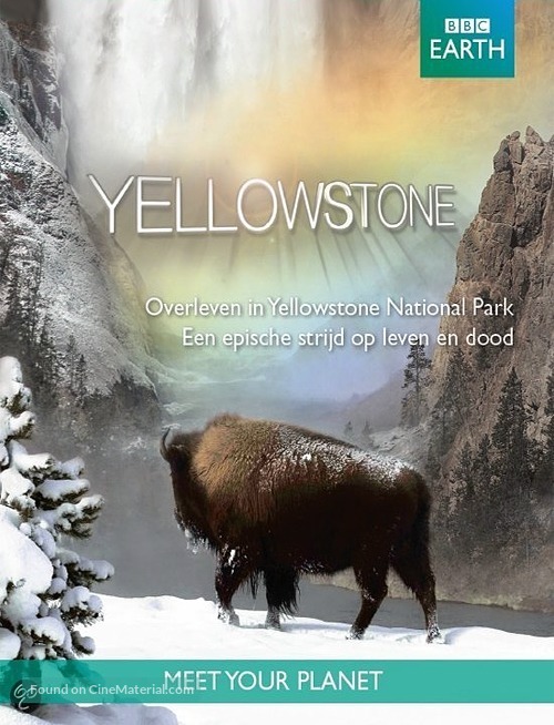 &quot;Yellowstone&quot; - DVD movie cover