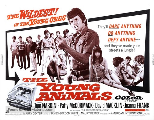 The Young Animals - Movie Poster