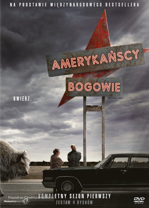 &quot;American Gods&quot; - Polish Movie Cover