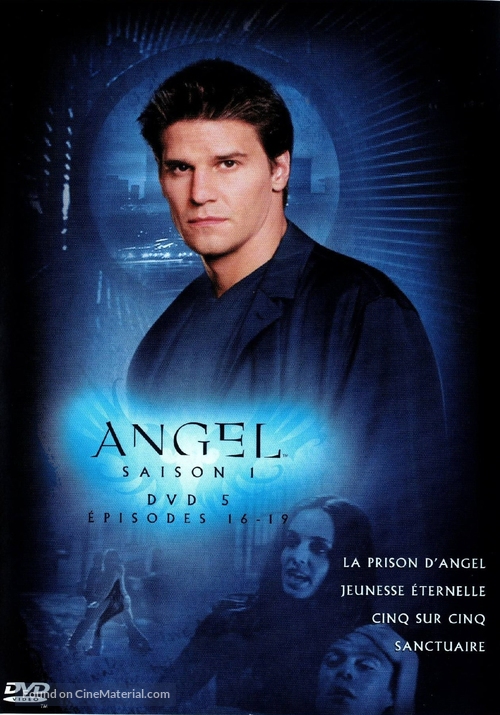 &quot;Angel&quot; - French DVD movie cover