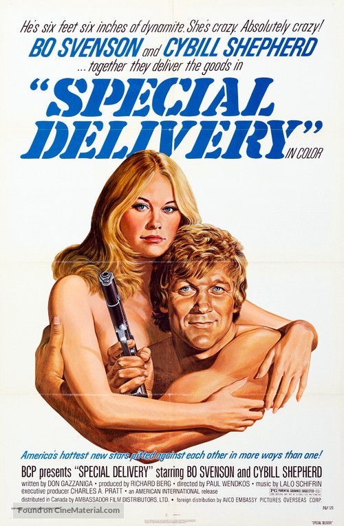 Special Delivery - Movie Poster