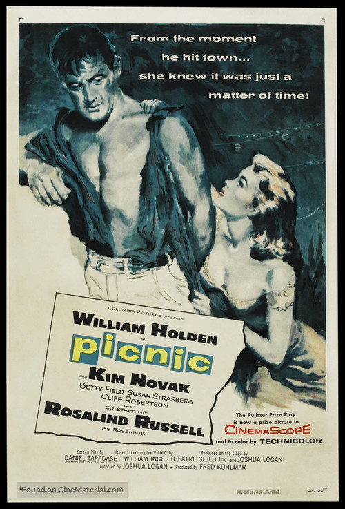 Picnic - Movie Poster