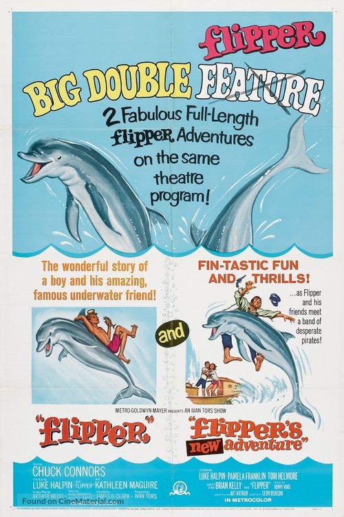Flipper - Combo movie poster