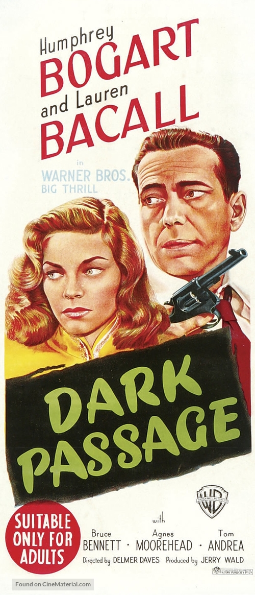 Dark Passage - Australian Movie Poster