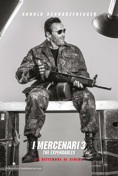 The Expendables 3 - Italian Movie Poster