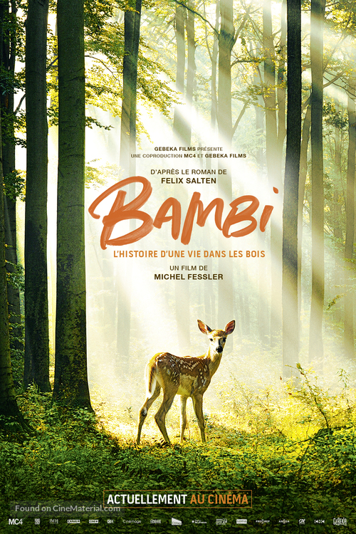 Bambi, L&#039;histoire d&#039;une vie dans les bois - French Movie Poster