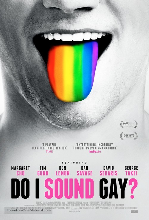 Do I Sound Gay? - Movie Poster