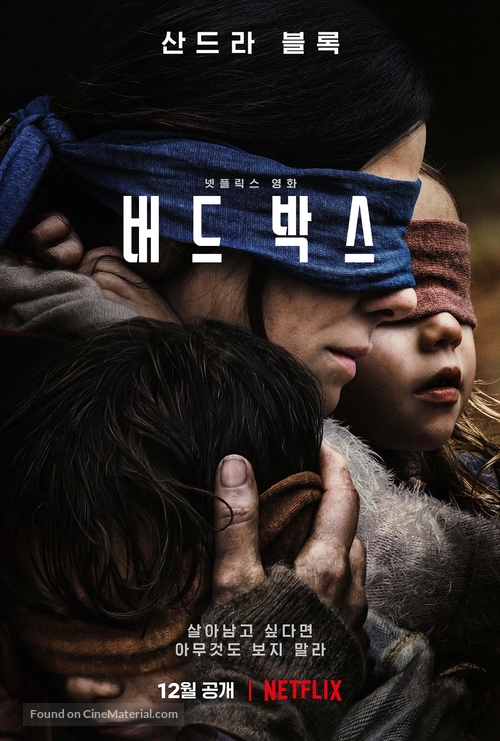 Bird Box - South Korean Movie Poster