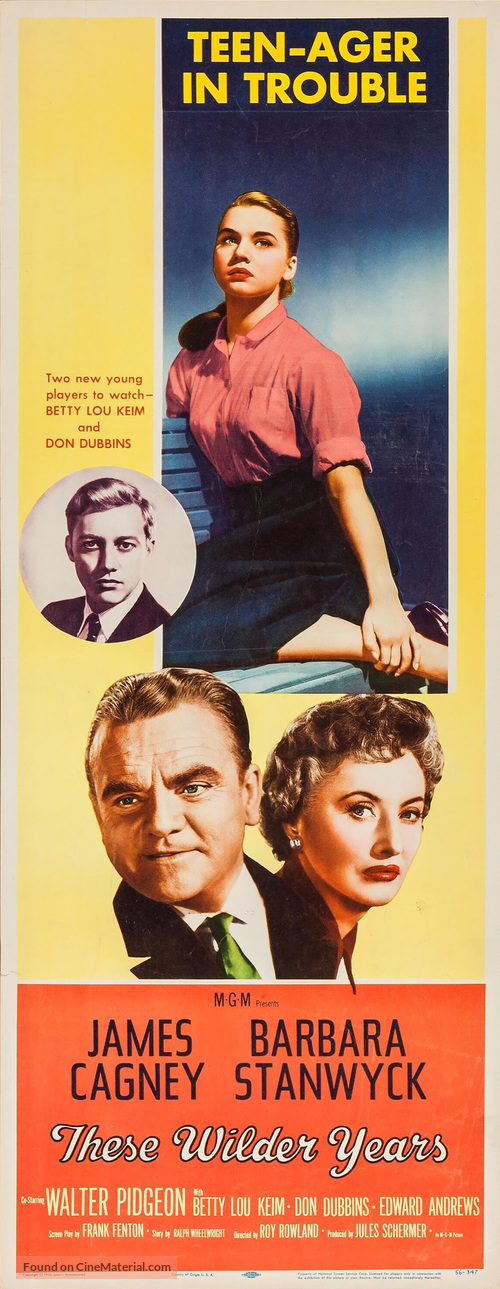 These Wilder Years (1956) movie poster