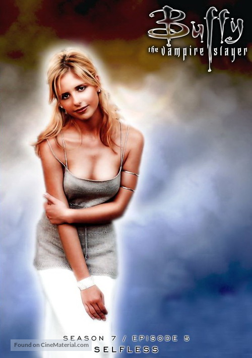 &quot;Buffy the Vampire Slayer&quot; - DVD movie cover