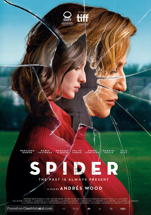 Ara&ntilde;a - International Movie Poster