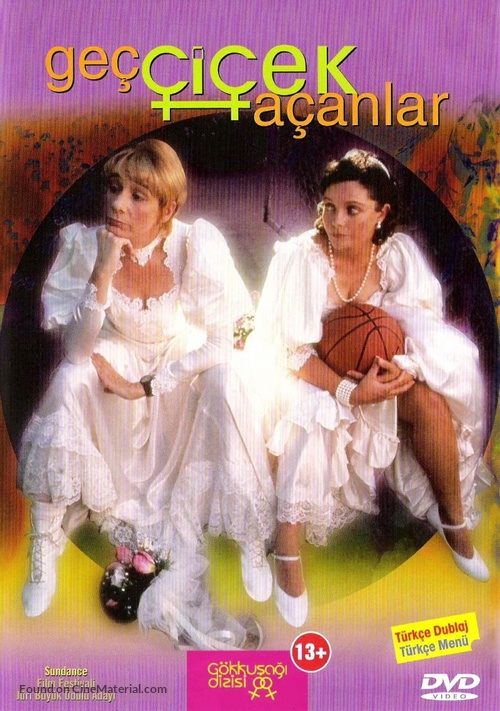 Late Bloomers - Turkish DVD movie cover