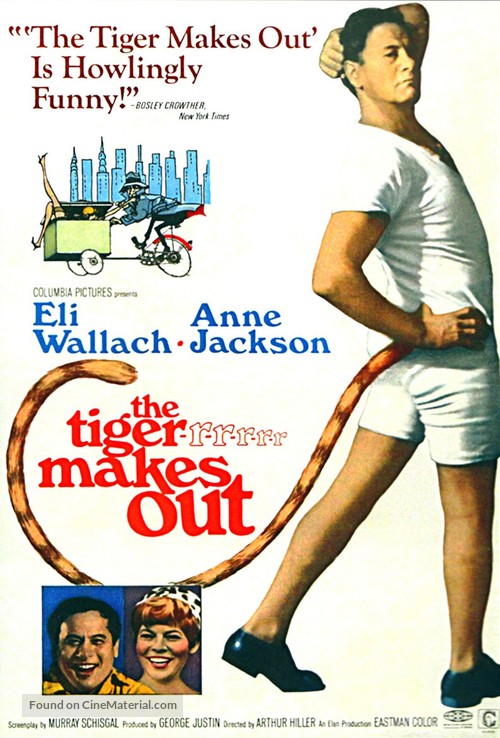 The Tiger Makes Out - Movie Poster