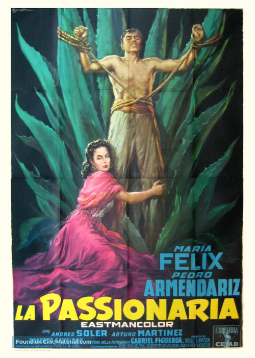 La escondida - Italian Movie Poster