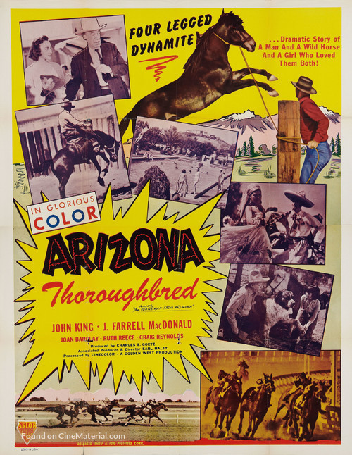 The Gentleman from Arizona - Re-release movie poster