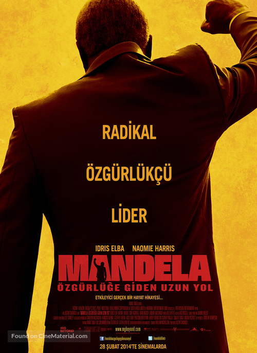 Mandela: Long Walk to Freedom - Turkish Movie Poster