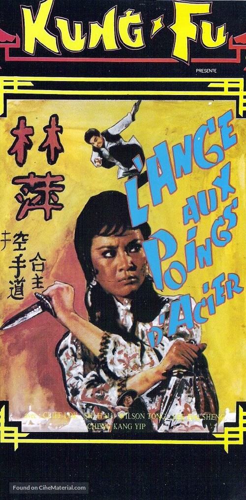 Tian cai gong fu - French VHS movie cover