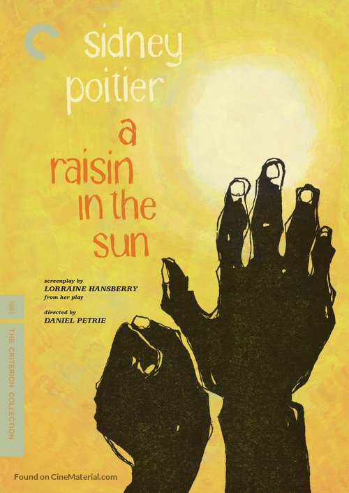A Raisin in the Sun - DVD movie cover