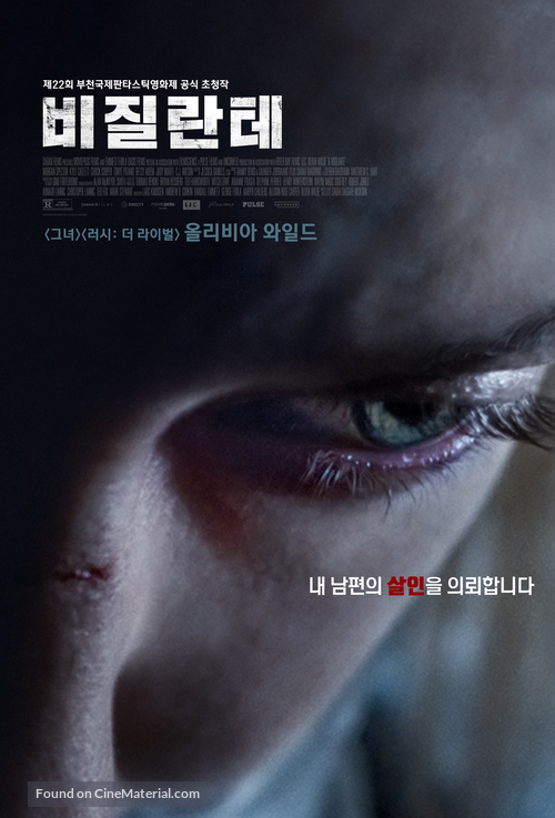 A Vigilante - South Korean Movie Poster
