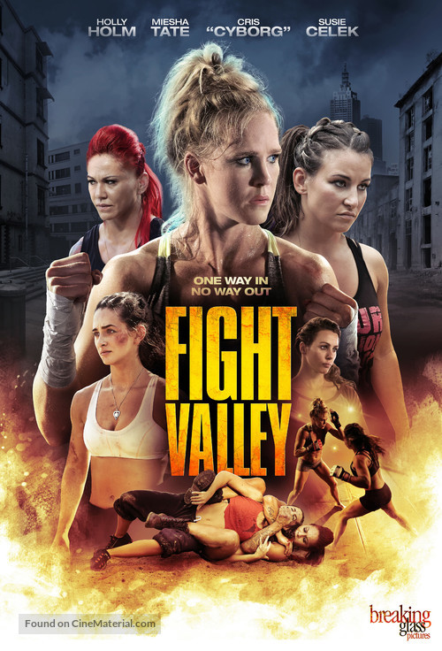 Fight Valley - DVD movie cover