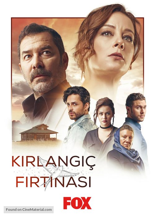 &quot;Kirlangic Firtinasi&quot; - Turkish Movie Poster