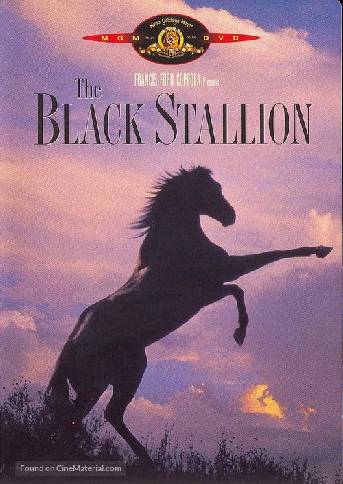 The Black Stallion - DVD movie cover