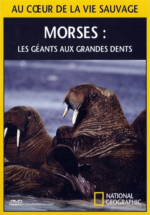 &quot;National Geographic Explorer&quot; - French Movie Cover