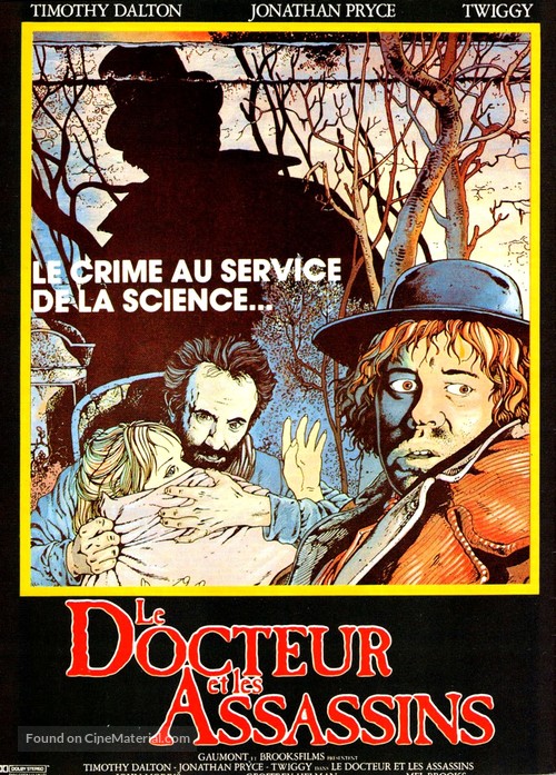 The Doctor and the Devils - French Movie Poster