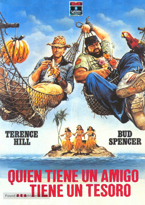 Chi trova un amico trova un tesoro - Spanish DVD movie cover