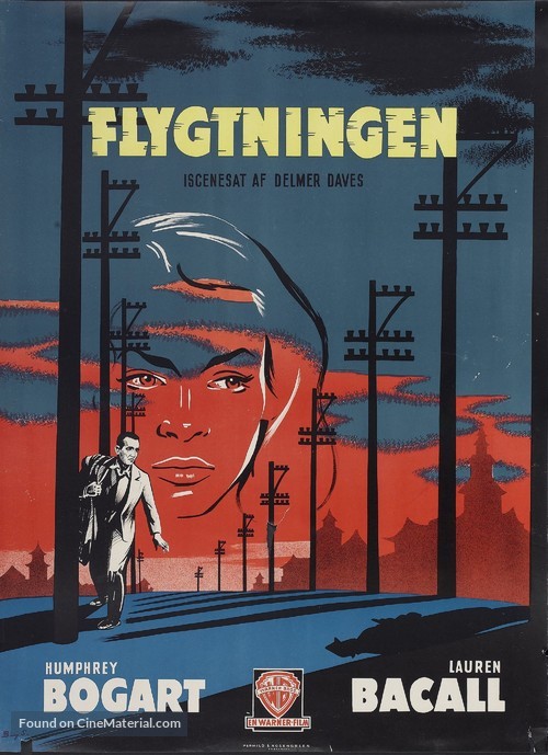 Dark Passage - Danish Movie Poster