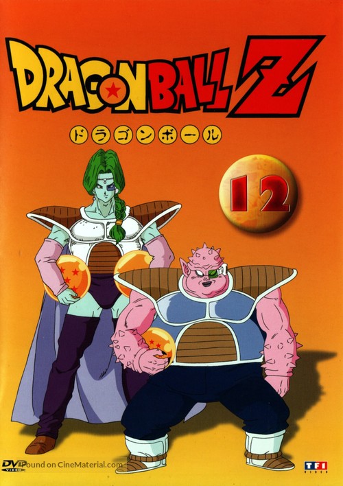 &quot;Dragon Ball Z&quot; - French DVD movie cover