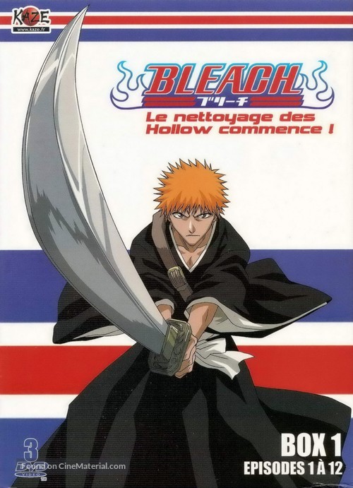 &quot;Bleach&quot; - French DVD movie cover