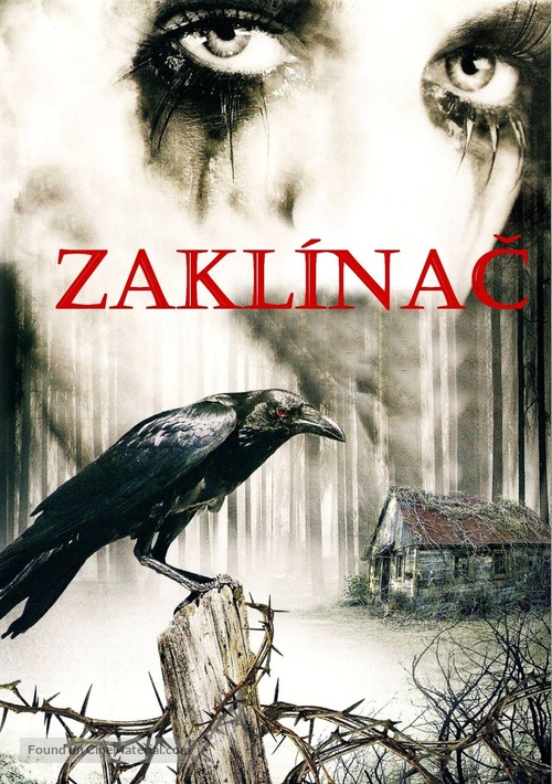 Conjurer - Czech DVD movie cover