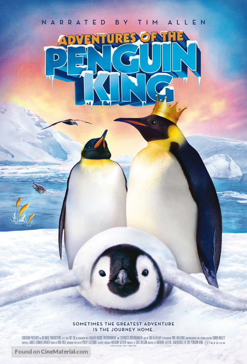 The Penguin King 3D - Movie Poster