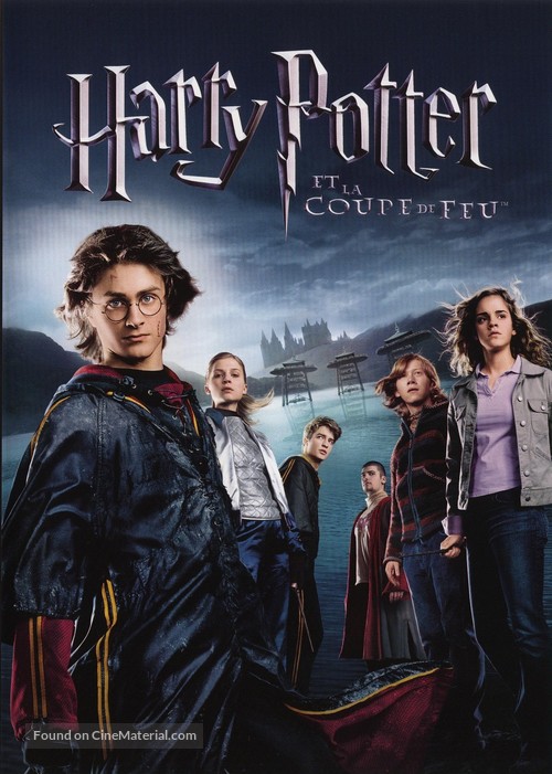 Harry Potter and the Goblet of Fire - French DVD movie cover