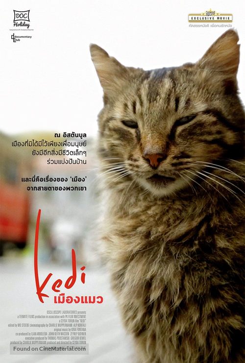 Kedi - Thai Movie Poster