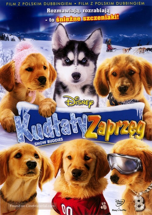 Snow Buddies - Polish Movie Cover
