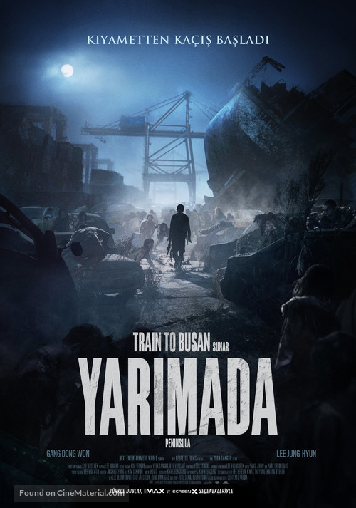 Train to Busan 2 - Turkish Movie Poster