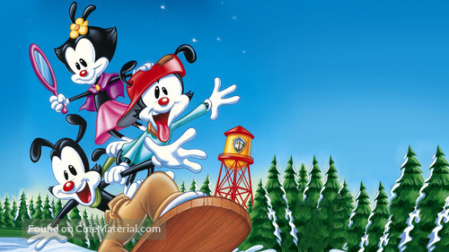 Wakko&#039;s Wish - Key art