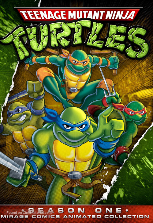 &quot;Teenage Mutant Ninja Turtles&quot; - DVD movie cover