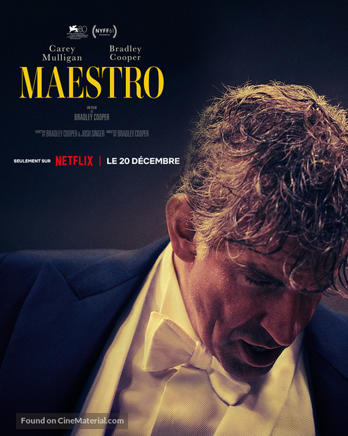 Maestro - French Movie Poster