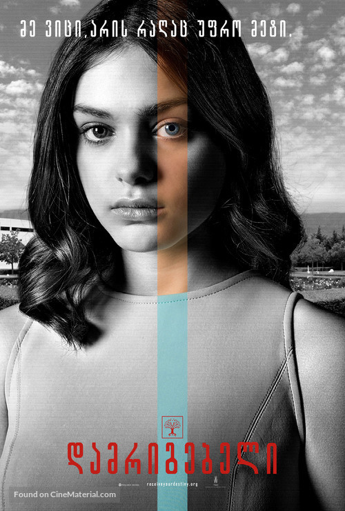 The Giver - Georgian Movie Poster