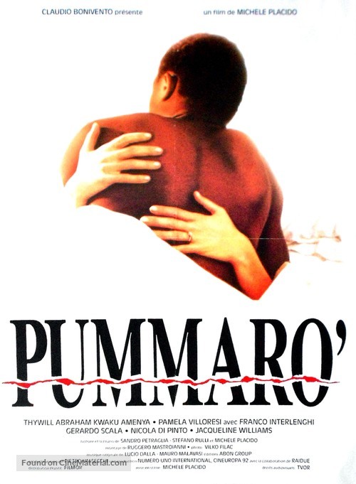 Pummar&ograve; - French Movie Poster