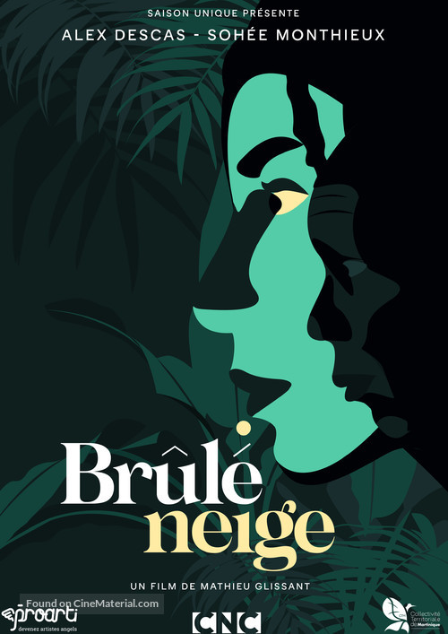 Br&ucirc;l&eacute; Neige - French Movie Poster