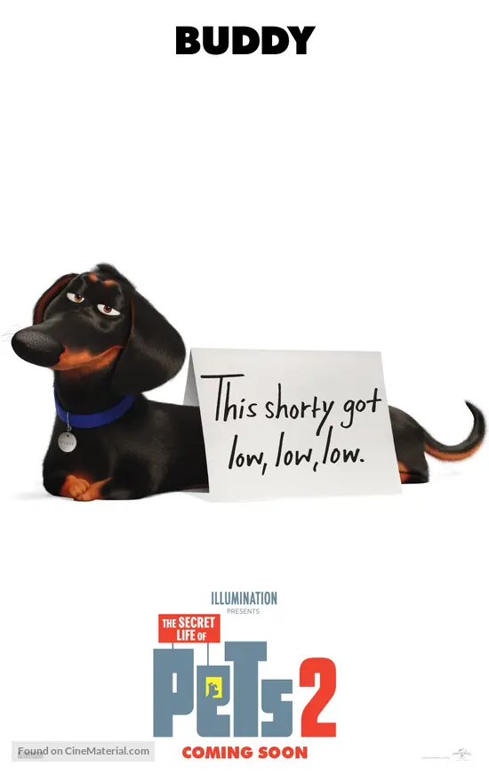 Get The Secret Life Of Pets 2 2019 Movie Poster For Android Wallpaper The Secret Life Of Pets 2 2019 Movie Poster For Android Free