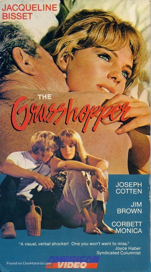 The Grasshopper - VHS movie cover