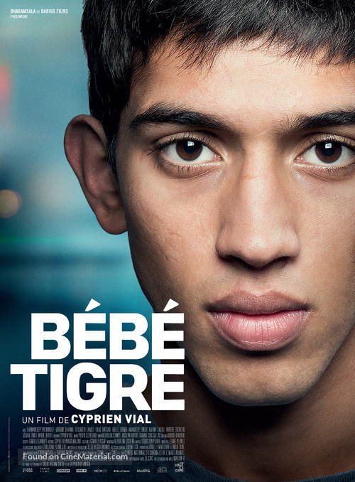 B&eacute;b&eacute; tigre - French Movie Poster