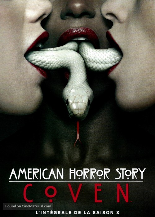 &quot;American Horror Story&quot; - French DVD movie cover