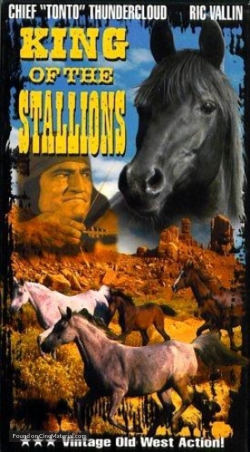 King of the Stallions - VHS movie cover
