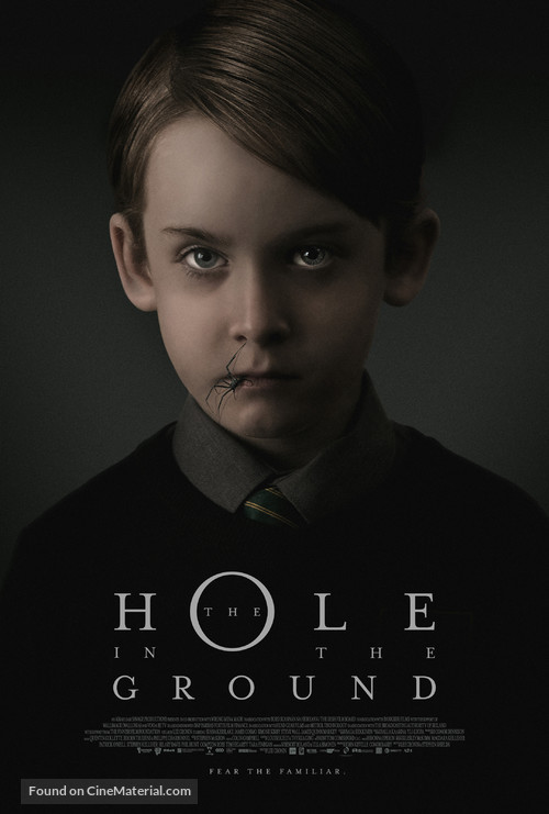 The Hole in the Ground - Irish Movie Poster